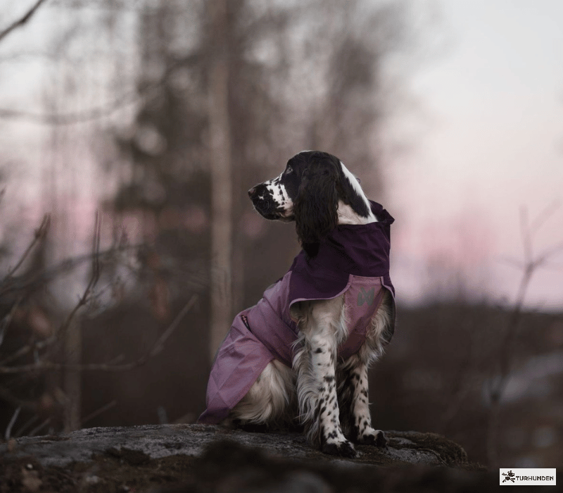 Non-stop dogwear Fjord Raincoat 2.0