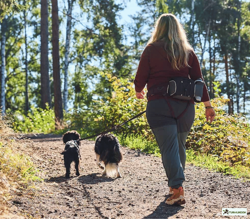 Non-stop dogwear Belt Bag