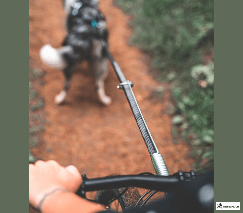 Non-stop dogwear Bike Antenne