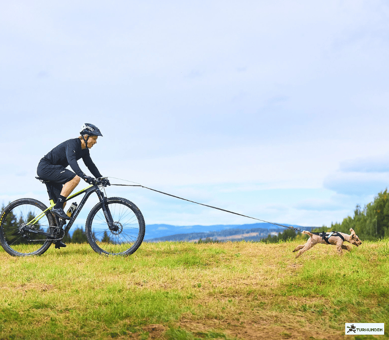 Non-stop dogwear Bike Antenne