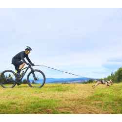 Non-stop dogwear Bike Antenne