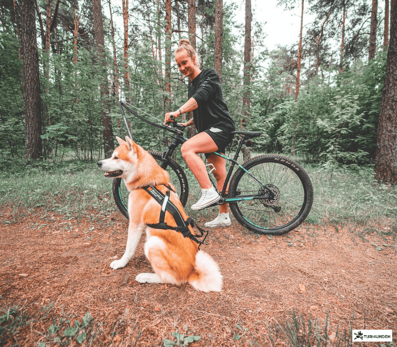 Non-stop dogwear Bike Antenne