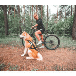 Non-stop dogwear Bike Antenne