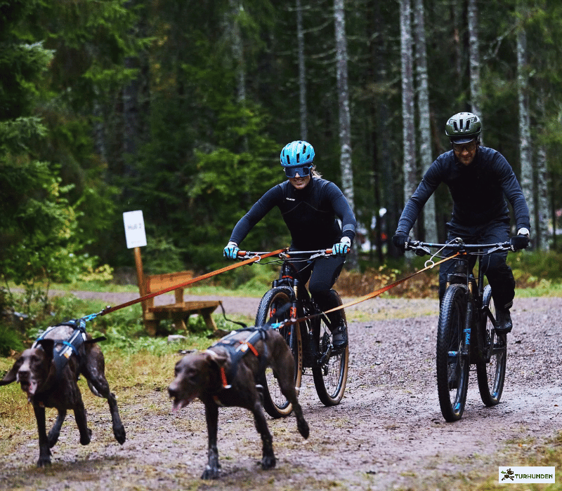 Non-stop dogwear Bike Antenne