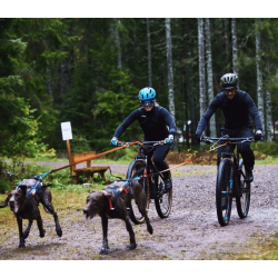 Non-stop dogwear Bike Antenne