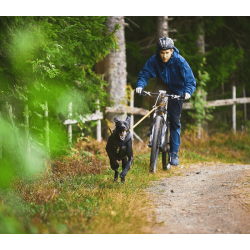 Non-stop dogwear Bike Antenne Klickfix