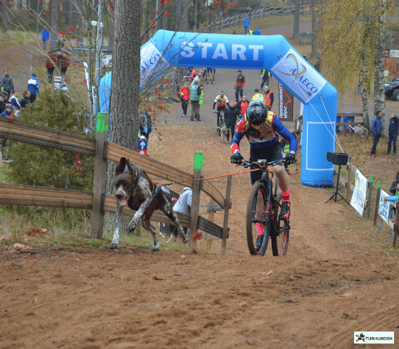 Non-stop dogwear Bike Antenne Klickfix