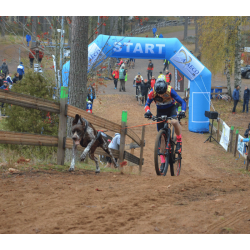 Non-stop dogwear Bike Antenne Klickfix