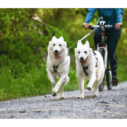 Non-stop dogwear Bike Antenne Klickfix