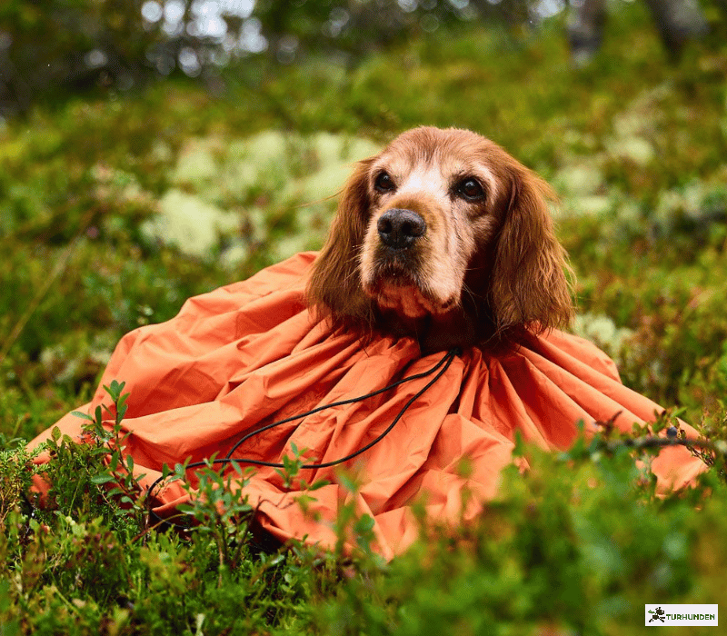 Non-stop dogwear Protector Bivy Bag