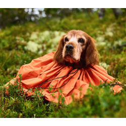 Non-stop dogwear Protector Bivy Bag