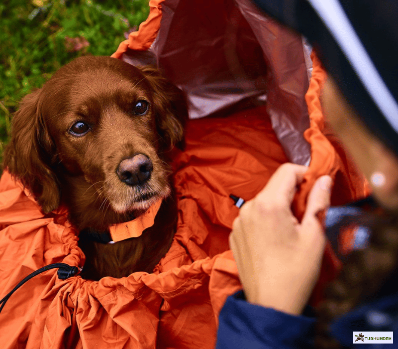 Non-stop dogwear Protector Bivy Bag