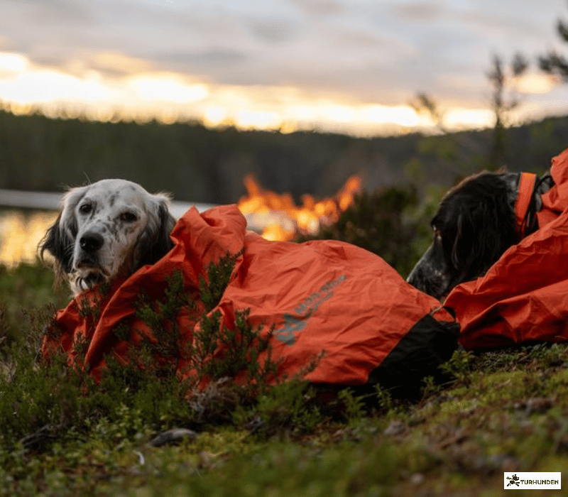 Non-stop dogwear Protector Bivy Bag