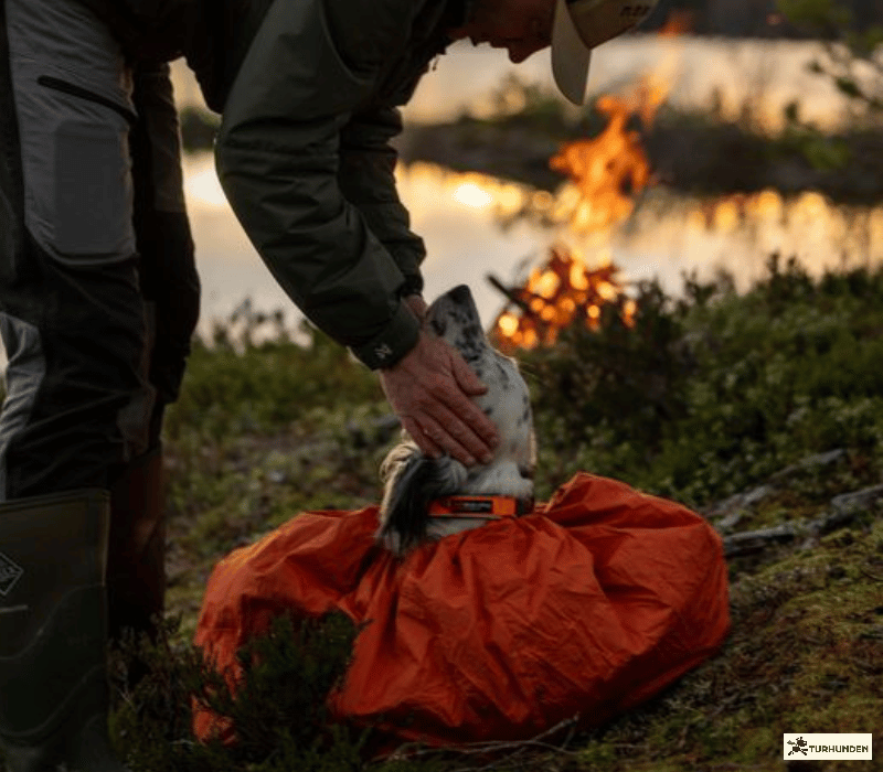 Non-stop dogwear Protector Bivy Bag