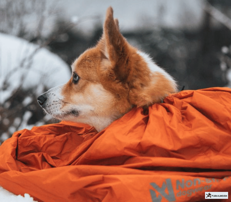 Non-stop dogwear Protector Bivy Bag