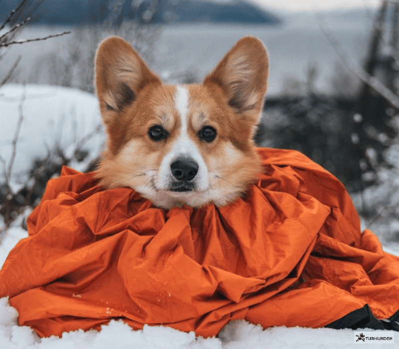 Non-stop dogwear Protector Bivy Bag