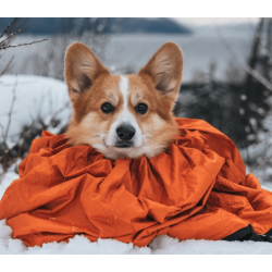 Non-stop dogwear Protector Bivy Bag