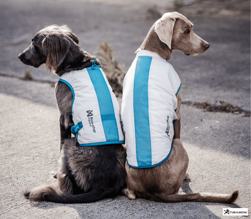 Non-stop dogwear Cooling Pull-on Vest