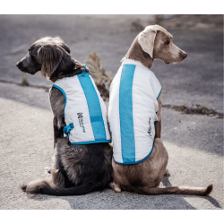 Non-stop dogwear Cooling Pull-on Vest