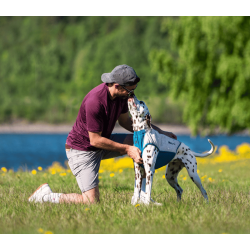 Non-stop dogwear Cooling Pull-on Vest
