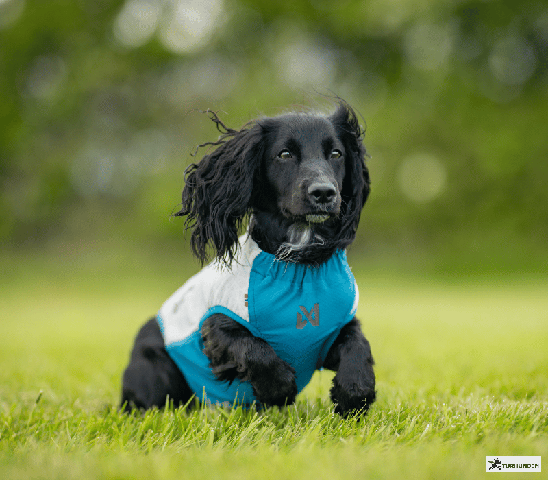 Non-stop dogwear Cooling Pull-on Vest