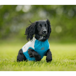Non-stop dogwear Cooling Pull-on Vest