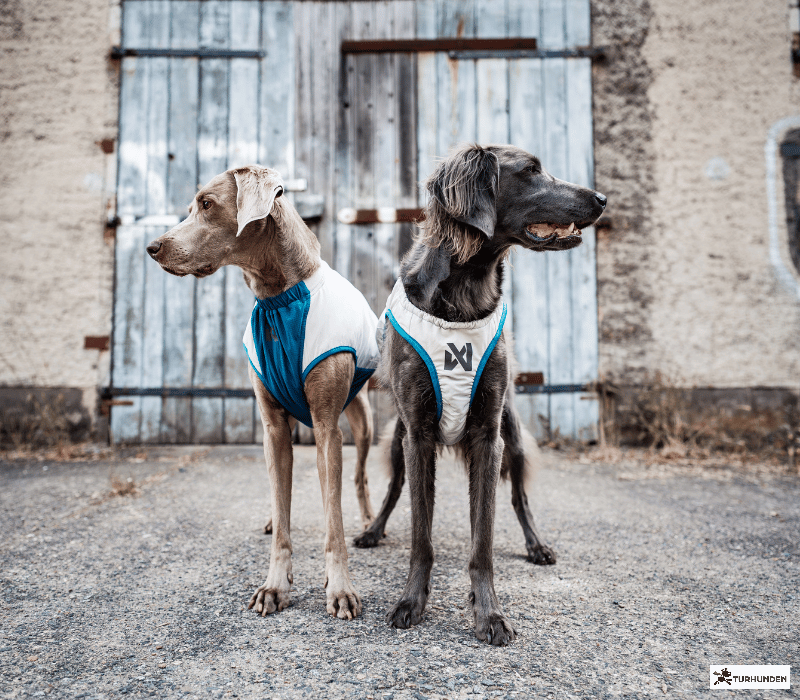 Non-stop dogwear Cooling Pull-on Vest