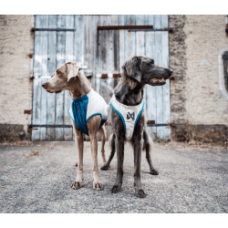 Non-stop dogwear Cooling Pull-on Vest