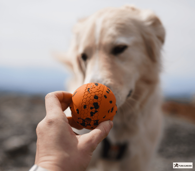 Non-stop Dogwear Dog Ball