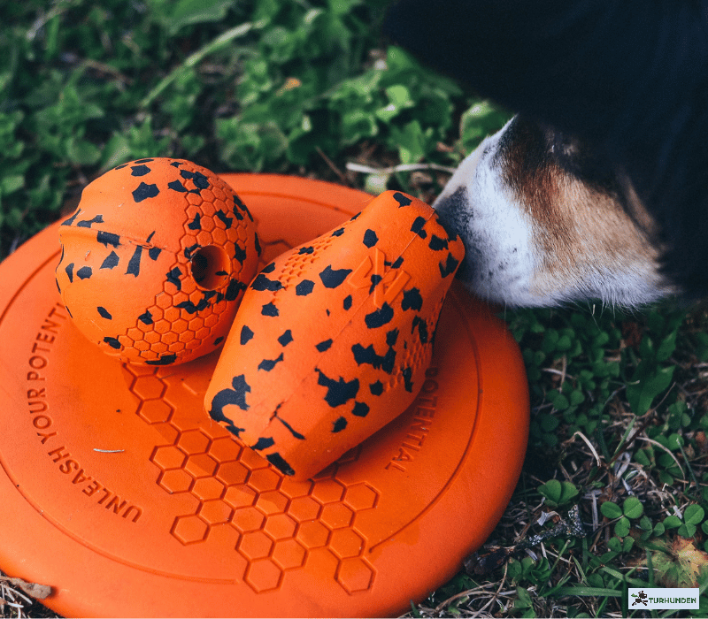 Non-stop Dogwear Dog Ball