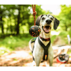 Non-stop dogwear Dog ball on rope