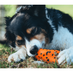 Non-stop dogwear Dog throw toy