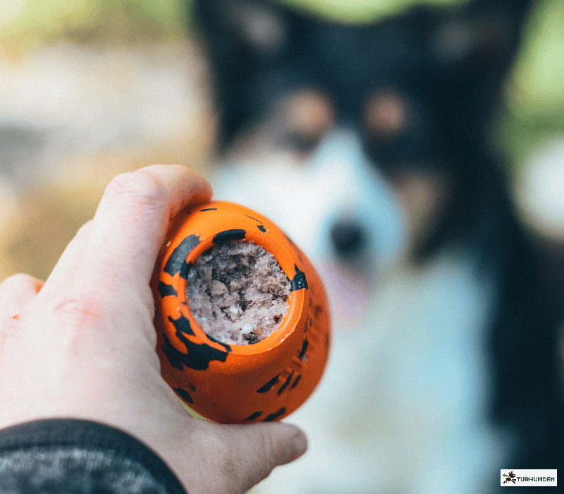 Non-stop dogwear Dog throw toy