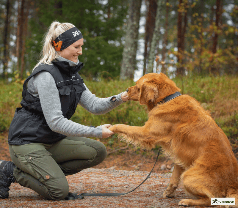Non-stop dogwear Dog Training Vest - Unisex