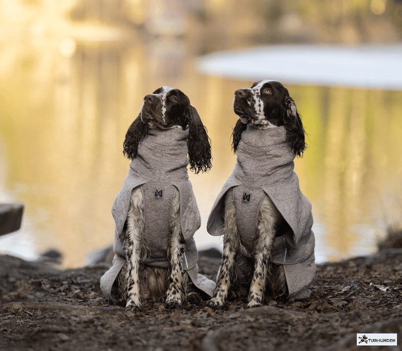 Non-stop dogwear Drying Coat