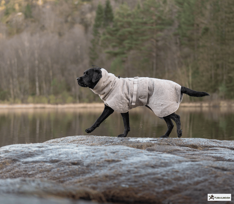 Non-stop dogwear Drying Coat