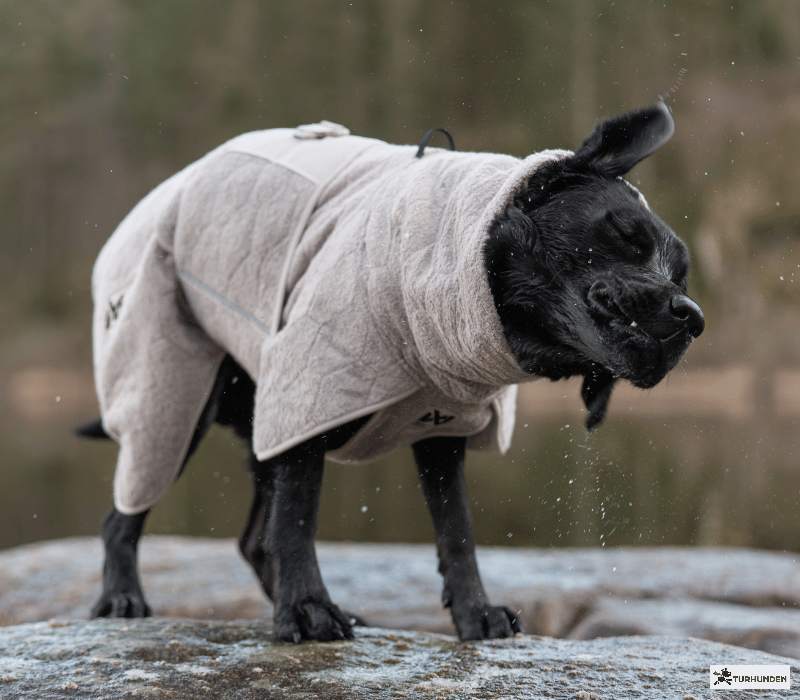 Non-stop dogwear Drying Coat