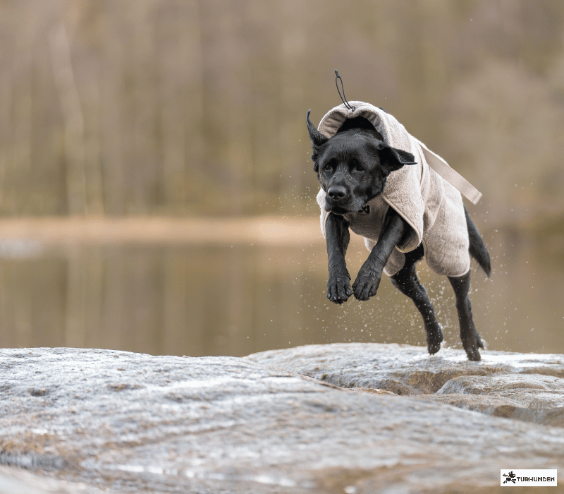 Non-stop dogwear Drying Coat