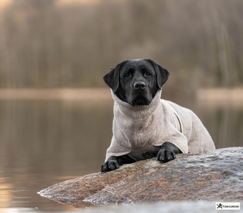 Non-stop dogwear Drying Coat