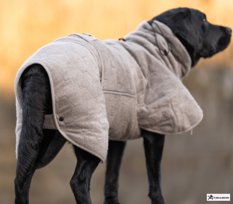 Non-stop dogwear Drying Coat