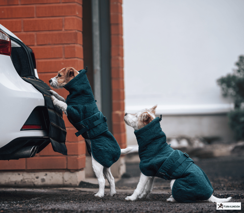 Non-stop dogwear Drying Coat