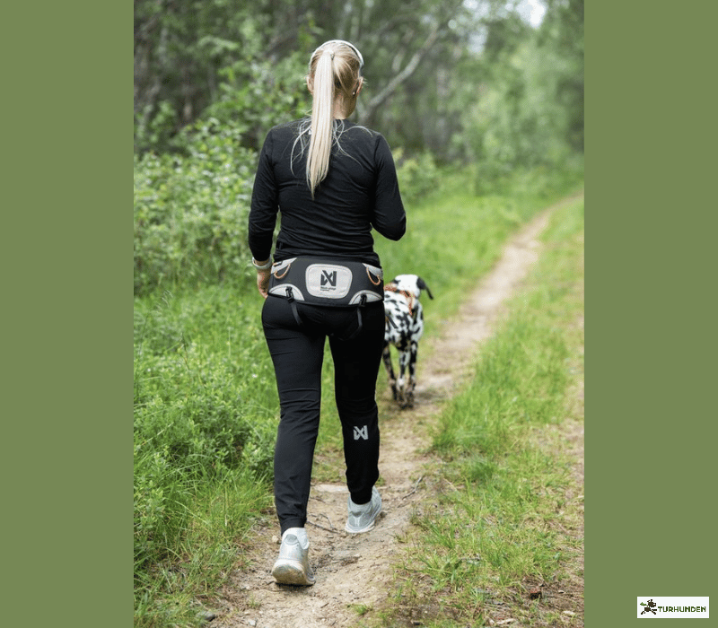 Non-stop dogwear Explore Belt Pro