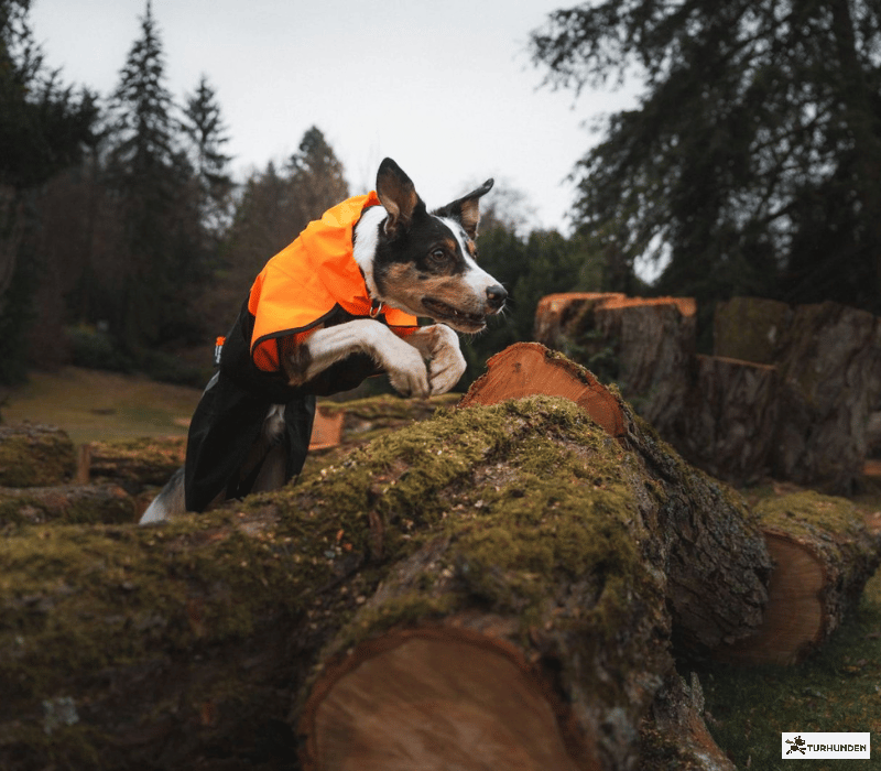 Non-stop dogwear Fjord Raincoat 2.0