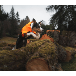 Non-stop dogwear Fjord Raincoat 2.0