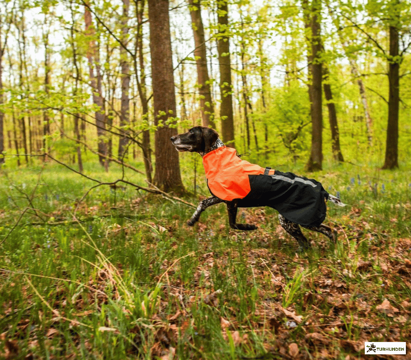 Non-stop dogwear Fjord Raincoat 2.0
