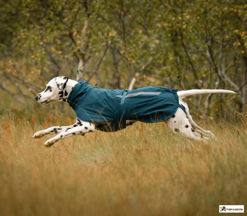 Non-stop dogwear Fjord lined raincoat