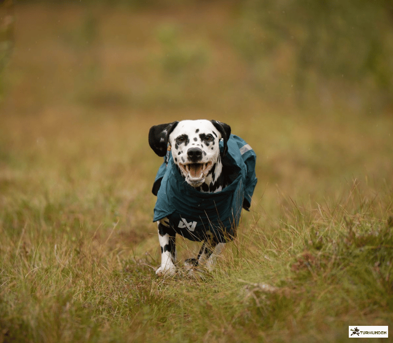 Non-stop dogwear Fjord lined raincoat