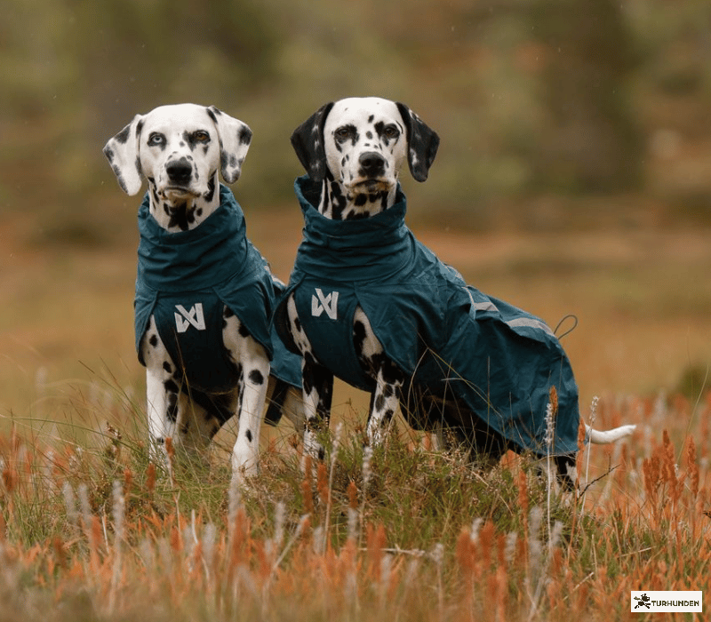 Non-stop dogwear Fjord lined raincoat