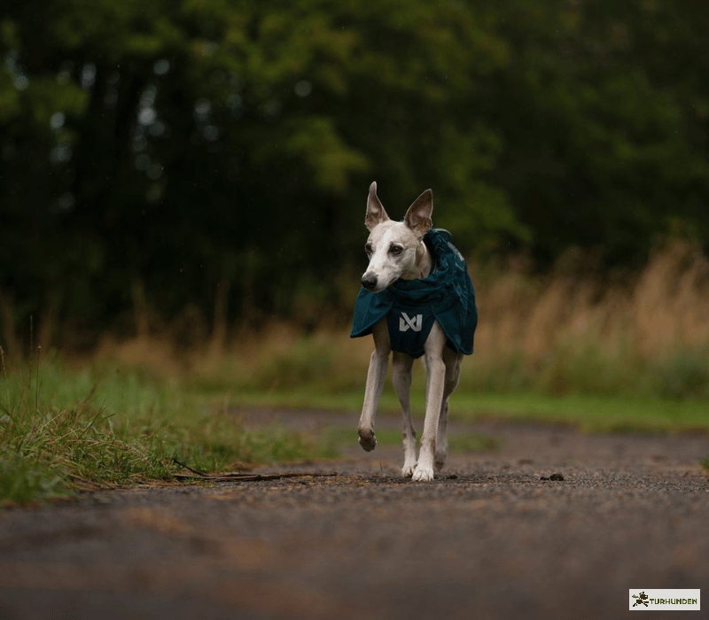 Non-stop dogwear Fjord lined raincoat