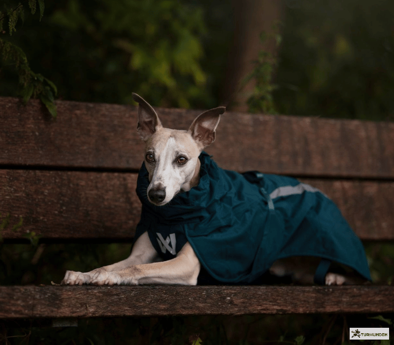 Non-stop dogwear Fjord lined raincoat
